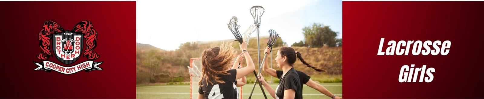 Girls Lacrosse Banner